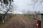 Casă cu 4 camere cu Teren 1861 Mp în Hărman - 6