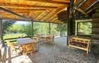 Cabane tutistice + teren - 2