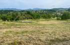 Teren intravilan, 25 ari, Danesti - 2
