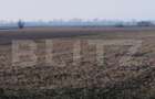 Teren extravilan de vanzare, 30.000 mp, cu potential de con - 3