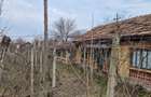 Teren si casa in Goicea-Dolj - 7
