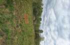 Teren de vanzare 0.800m - 3