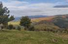 Teren 10.000 mp- Zona Montana Salbatica (Valea Mare Prava?-AG) , Panorama Iezer-Papu?a - 2