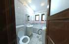 Apartament cu 2 camere în Giurgiului - 13