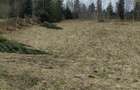 Teren de 1000 mp, în Predeal - 1