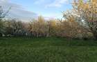 Vand teren intravilan - 7