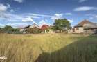 Casa 3 camere, Teren 1036 mp Front 22 m - Str. Florilor 46 - Carei - - 5