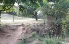 Vand teren intravilan - 5