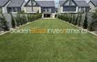 Vila premium Millo Village Curte proprie 2 - 7