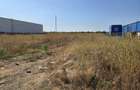 Teren Construcții intravilan de 3970 mp, în Cernica - 2