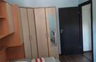 Apartament cu 2 camere decomandat în Roșu - 7
