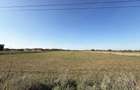 5000 mp. teren intravilan - Les - IMOBIHOR - 3
