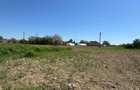 Teren intravilan 535 mp, Dumitrana Magurele, direct proprietar - 13