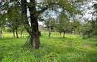 Casă individuală cu 7 camere cu Canalizare în Luna de Sus - 22