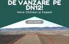 Teren extravilan de vanzare intre Chilieni si Coseni, pe DN12! - 3