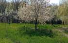 Casa de vanzare in Jud. Arges. - 16