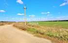 Teren Construcții de 91000 mp, în Snagov - 8