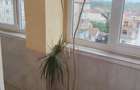 Apartament cu 4 camere decomandat în Caransebeș - 9
