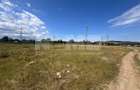 Teren Itcani | 31 Ari | Extravilan | Deschidere 11.5 MP | 93000 Euro - 4