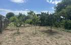 CASA DE VANZARE -3 dormitoare | 119 m2 | Curte 1.230 m2 - 9