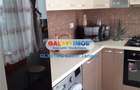 Apartament cu 2 camere în Banat - 9