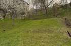 Teren de vanzare Valea Doftanei, Traisteni - 4