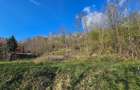 BREBU – intravilan 1800 mp, deschidere 29 ml, doar 16.900 € - 15