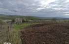 Teren intravilan Comarna, ID: R3075287 - 6