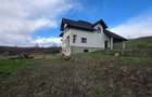 Casa cu teren 5000 mp de vanzare in comuna Bunesti jud Suceava - 6