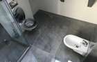 Casa superba in Faget-exclusivitate - 1