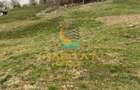 Teren intravilan cu apa/curent 5/mp Corbeni-Arges - 8
