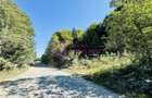 Teren intravilan 3000 mp | Valea Avrigului | deschidere 80 ml - 1