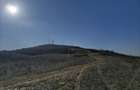 Terenuri Tome?ti Dealul Crucii, loturi 400 mp, rate 250/luna, 0 avans - 1