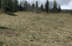 Teren de 1000 mp, în Predeal - 4