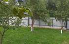 Casă cu 4 camere în Piatra-Neamț - 4
