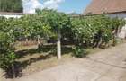 Casa de vanzare urgent locuibila - 7