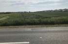 Proprietar vand teren pt construc?ii- Bucovat-Remetea Mare - 1
