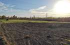 Teren intravilan 5.858 mp Splaiul Unirii, Sector 3 - 5