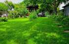 Teren 900 mp, central, str. Obedeanu- spatele Gradinii Botanice - 2