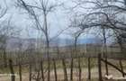 TEREN INTRAVILAN VEDERE PANORAMICA La 2 km de Manastirea CRA - 2