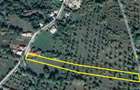 Valea Mare Pravat, Arges - 3