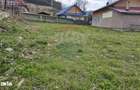 Teren 1,520mp Hangu / Strada Principala - 5