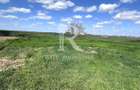 Teren intravilan | Le? | Bihor - 4