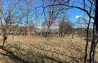 Teren intravilan 1,933mp Faget / Drajna de Sus
