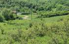 Teren intravilan de 5850 mp, în Crușovița - 1