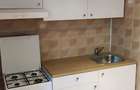 Apartament cu 2 camere semidecomandat în Dristor - 4