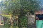 Casă cu 2 camere cu Canalizare în Cedonia - 9