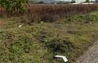 Teren agricol extravilan de 15000 mp, în Lipănești - 4