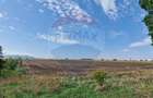 Teren intravilan, 4.874mp, DN E 85, com. Nicolae Balcescu, Bacau - 1