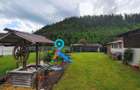 Casa de vacanta | Investitie | zona montana - padure | Arges | Leresti - 1